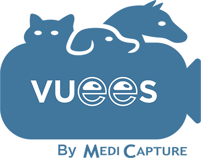 VUEES University Edition Icon